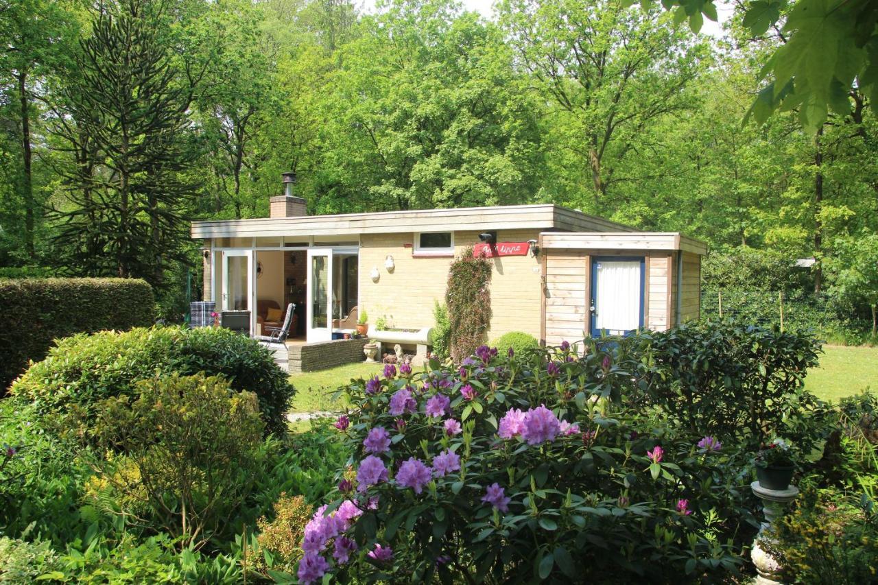 Ferienwohnung Valouwe 54 Appelscha Exterior foto